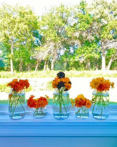 Botanical Printed Socks