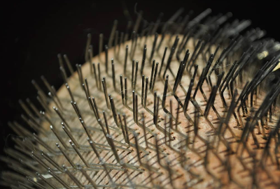 Intro to Fiber and Wool