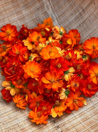 Botanical Printed Socks