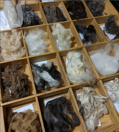 Intro to Fiber and Wool
