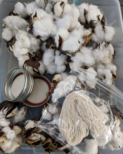 Intro to Fiber and Wool